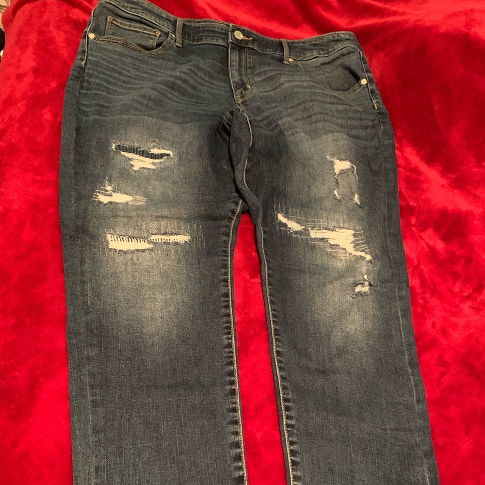 Plus Size Skinny Jeans